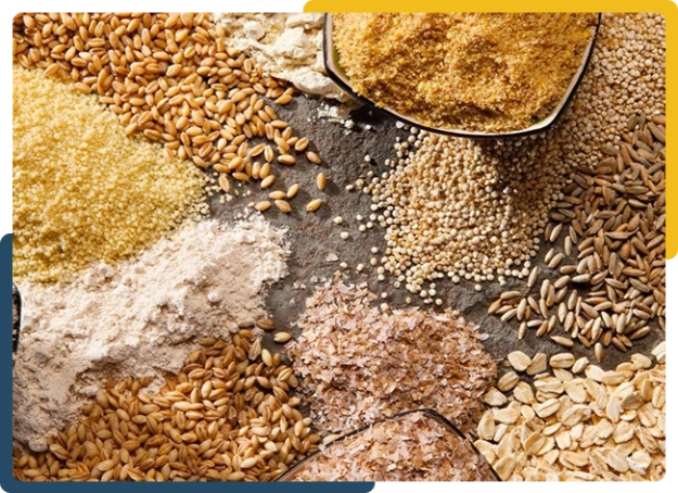 Overhead image of various grains and flours displayed on a rustic table
