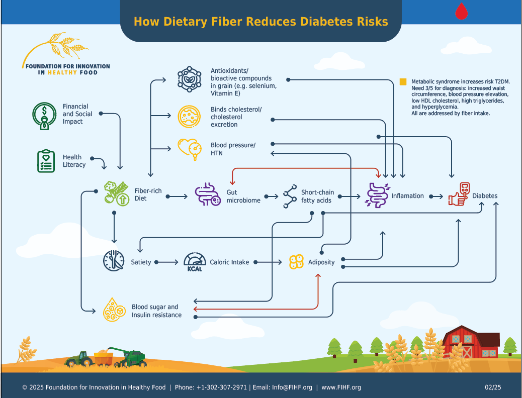 Infographic: How dietary fiber reduces diabetes risks