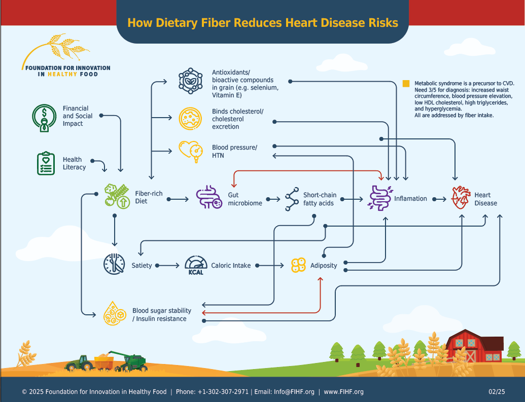 Infographic: How dietary fiber reduces heart disease risks