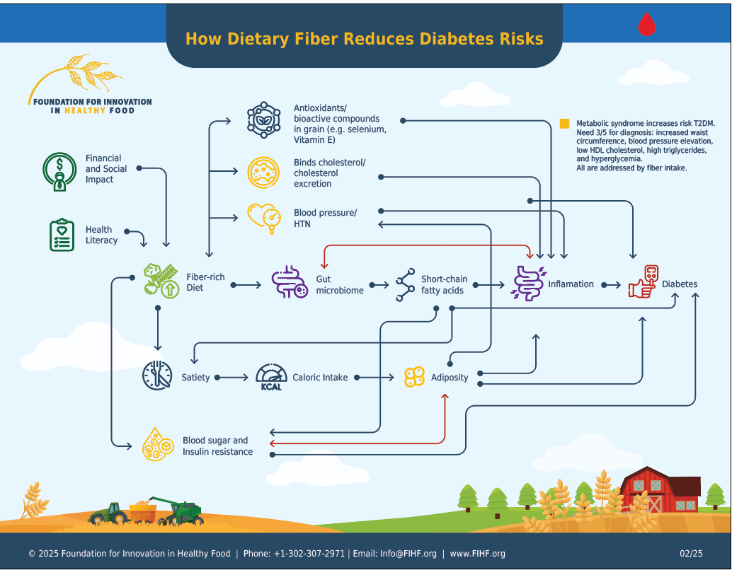 Infographic showing how dietary fiber reduces diabetes risks