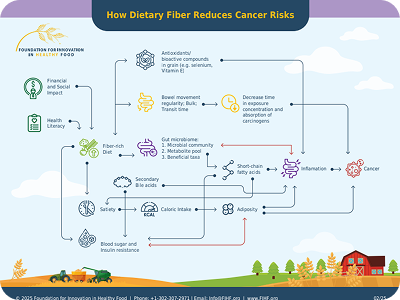 Infographic: How dietary fiber reduces cancer risks