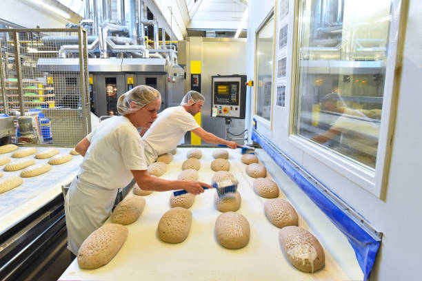 Workers in a factory shaping dough and preparing loaves of bread on a production line