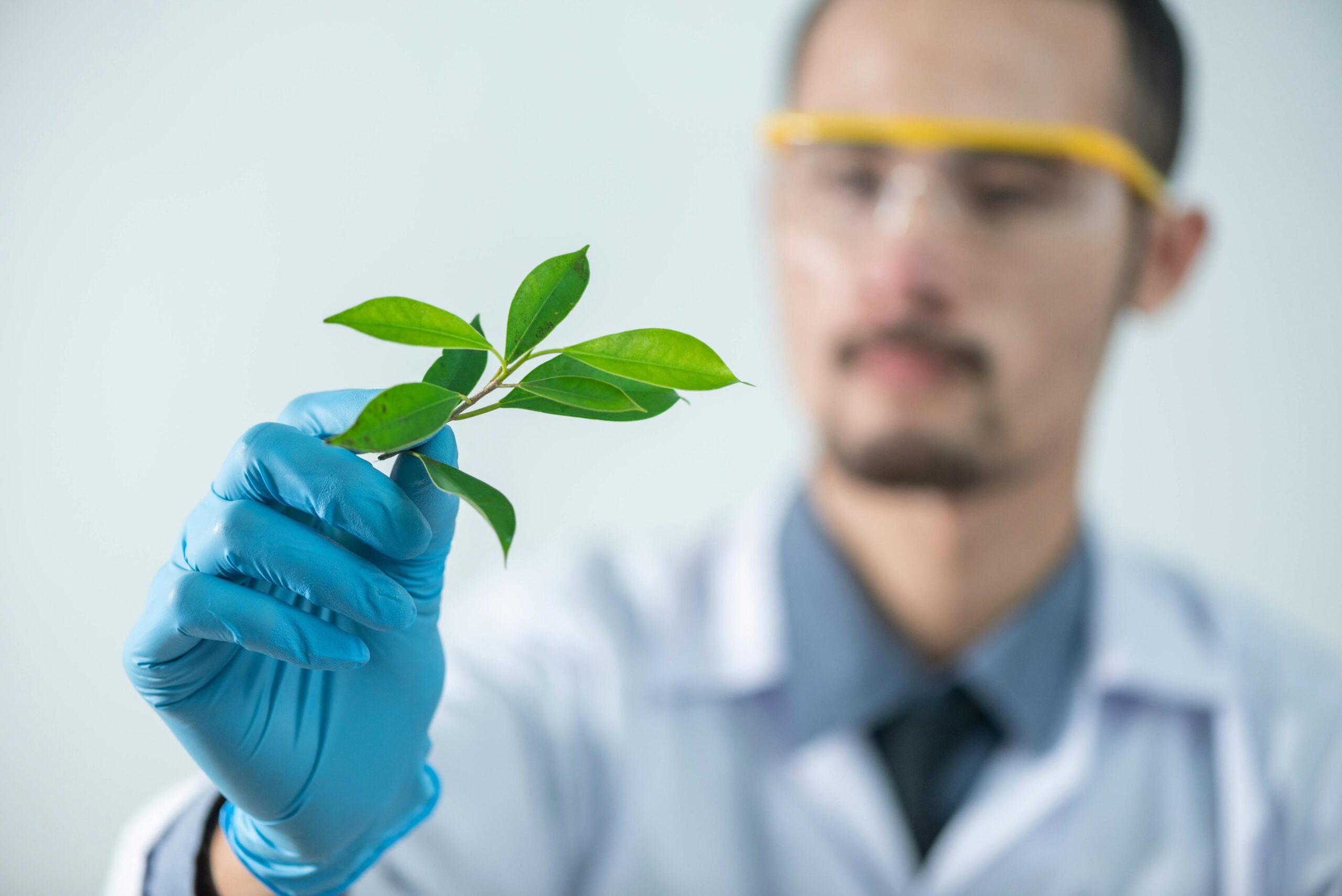 Scientist in lab coat examining a green seedling with tweezers
