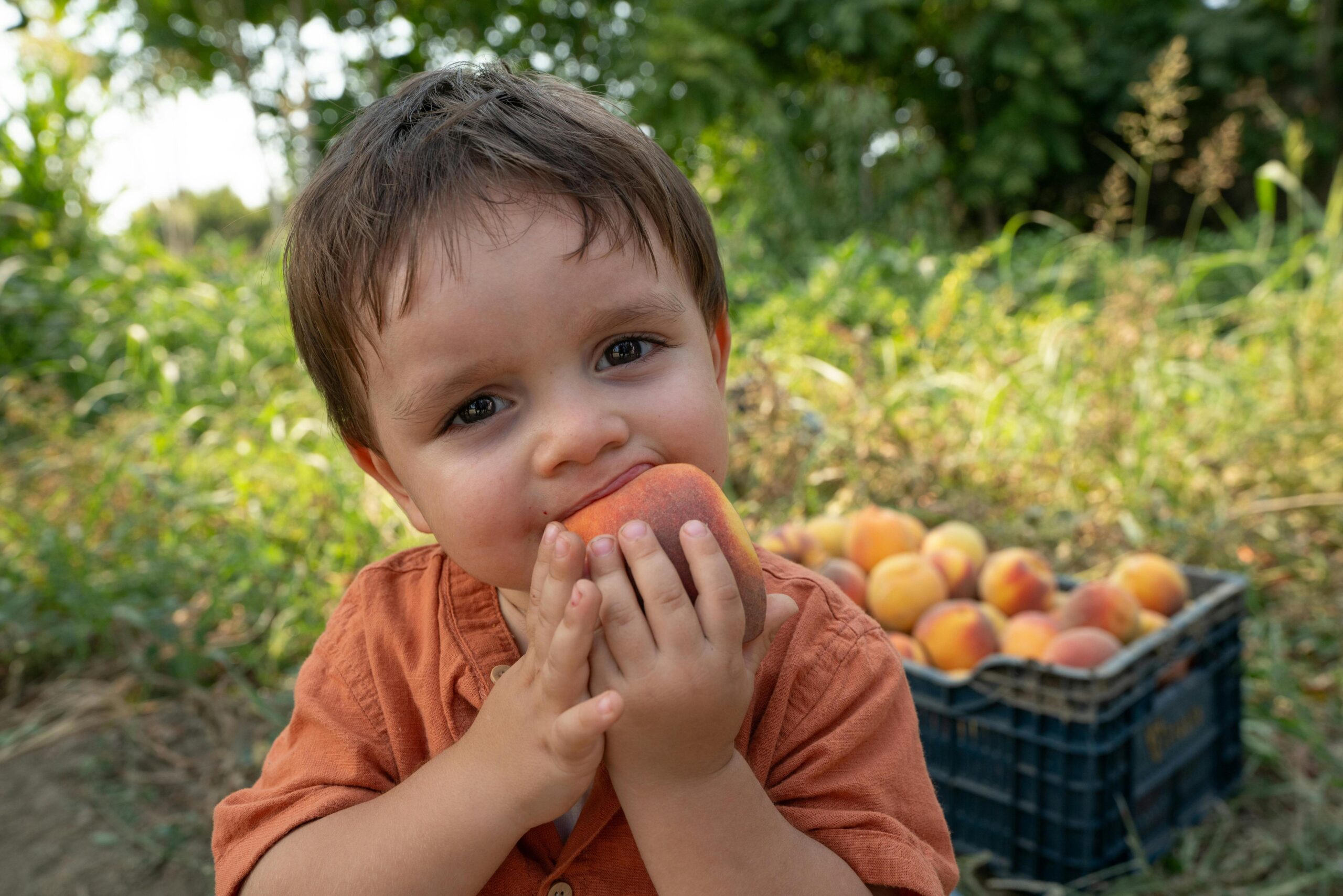 Young child smiling while eating a peach in a fruit orchard