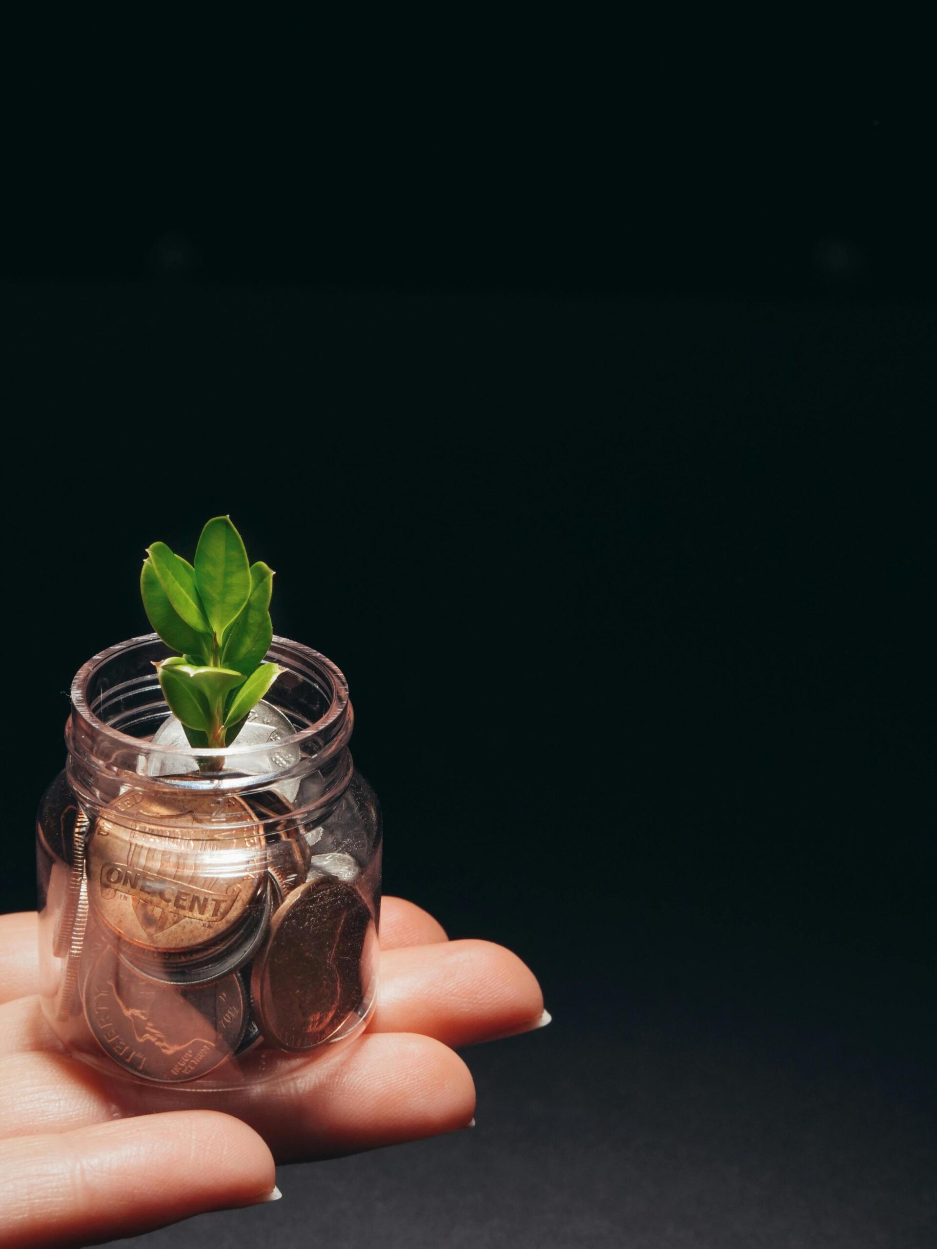 Hand holding a jar of coins with a small plant growing out of it