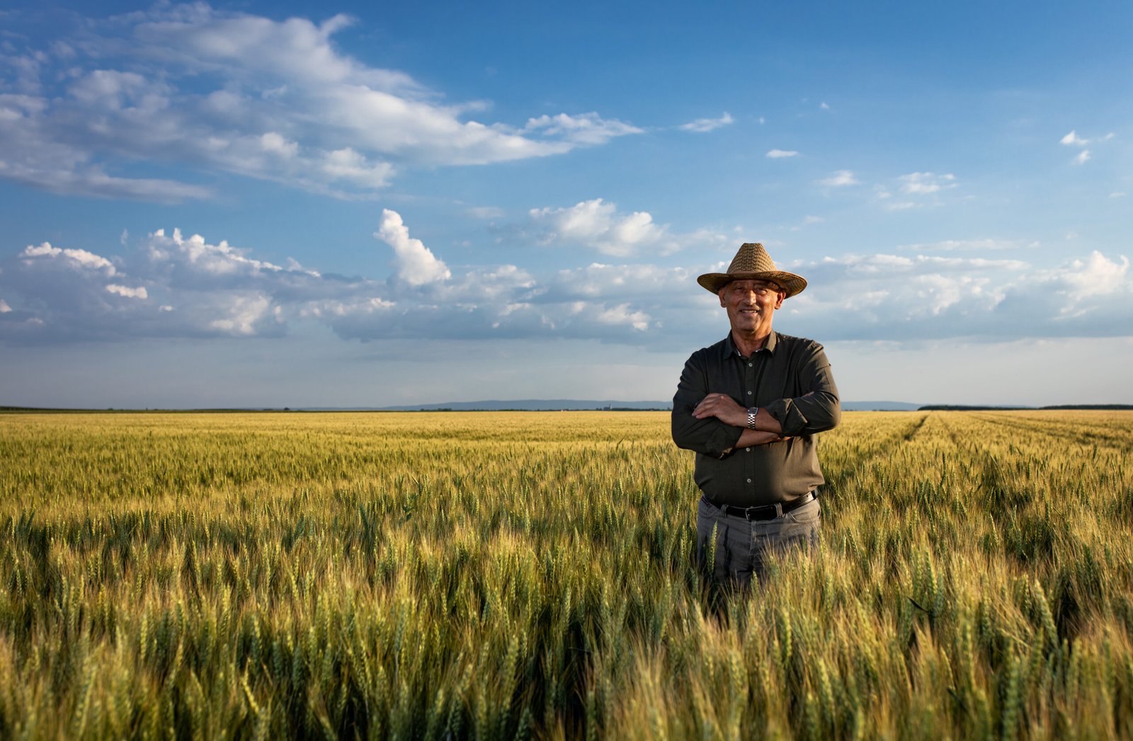 Farmer standing confidently in a wheat field under a blue sky